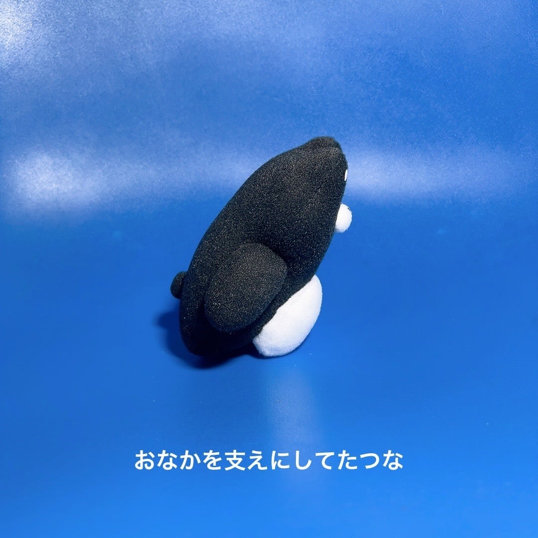 まーくんぬい 2 | EVERYDAYSUNDAY
