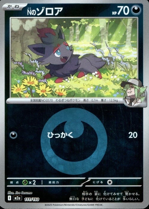 リザードンex SAR SV3 134/108 - | ポケモンカード専門店 Cobalt Cave