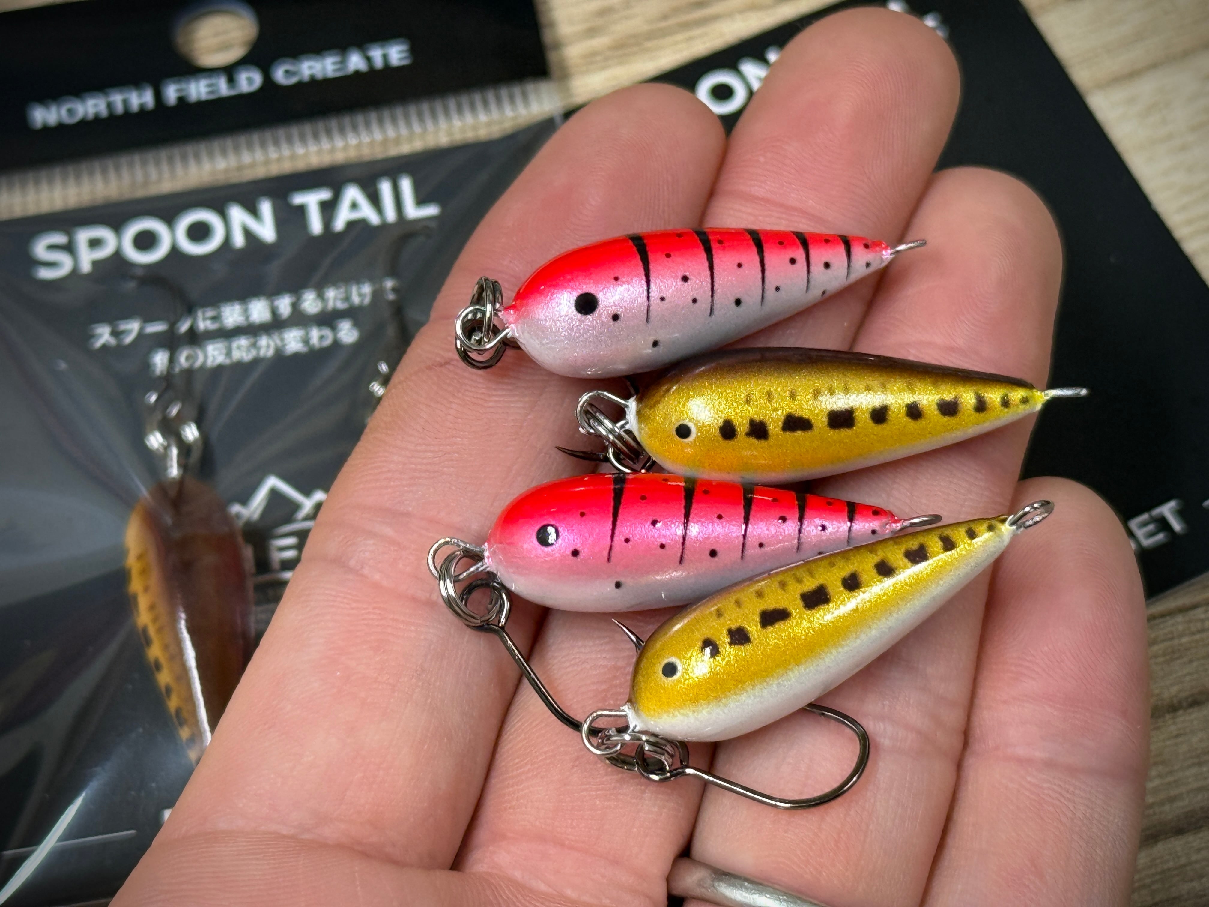 DAIWA 月下美人X LT 1000S-P | Fishing Tackle BLUE MARLIN