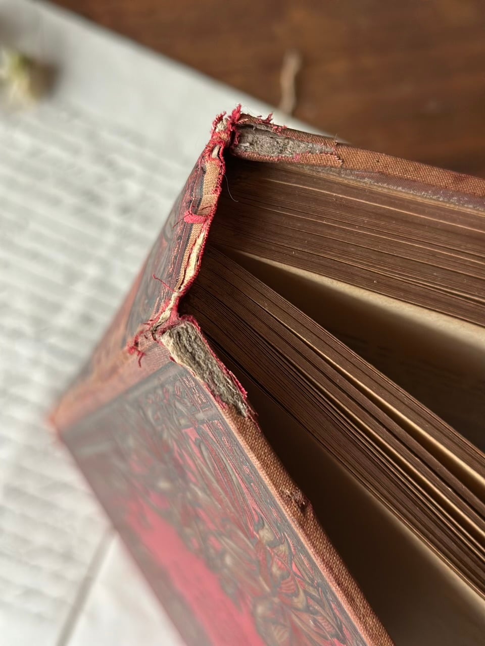 19世紀末 赤い装丁の古書 | Brocante de La Cocotte （フランス