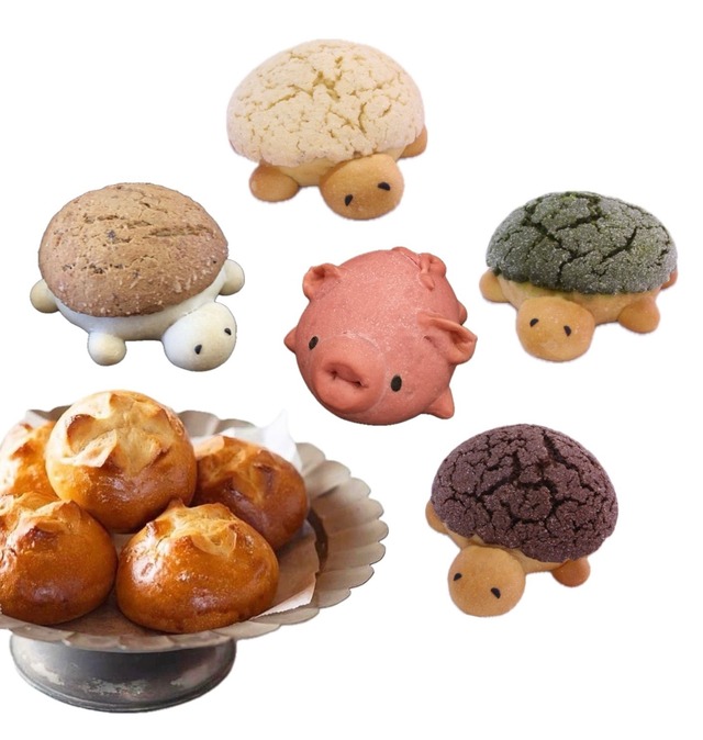 かめパン4種＆塩バターパン＋ぶたパンセット