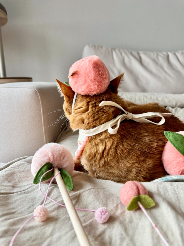 peach headpiece from WETNOSE 桃帽子　猫