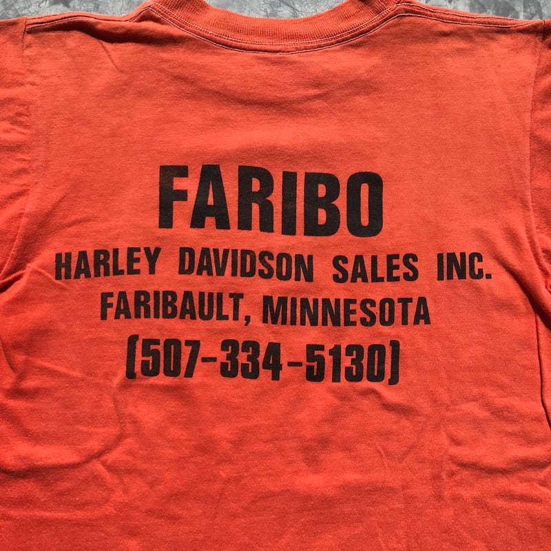 70's HARLEY DAVIDSON Tシャツ イーグル Collegiate Pacificボディ