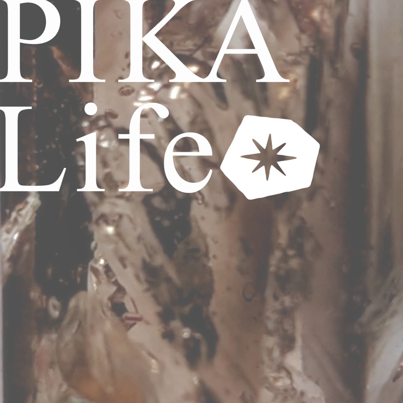 ⭔ お客様専用ページ ⭔ ricomaru0349様　※OPENBOX予約購入