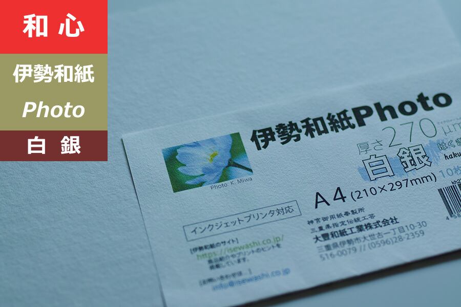 森夏男 森夏男画廊 作『華』Mサイズ 公式通販 PAY A3 R6701B M 共箱 筒 