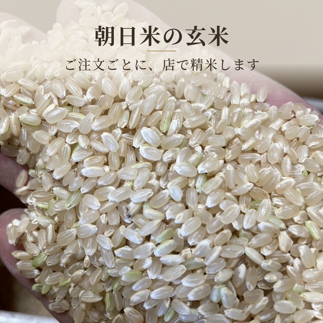 自然栽培 朝日米 3kg｜無農薬｜玄米・分づき米・白米｜岡山県倉敷産