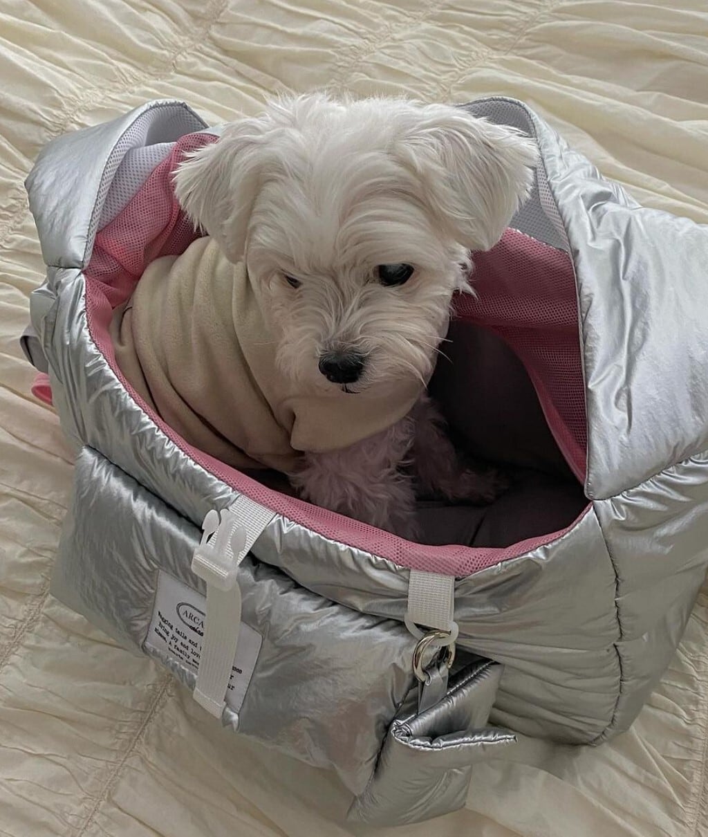 予約【ARCANNE】Canne bag《Silver×Mint / 2size対応》 | haneulpet