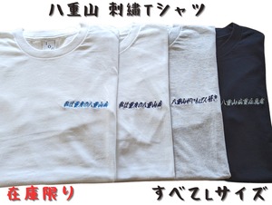 【在庫限り】★安くて八重山気分になれるTシャツ♪/ヘビーウェイトTシャツ/すべてサイズ★