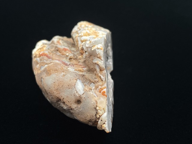 オープンジオード