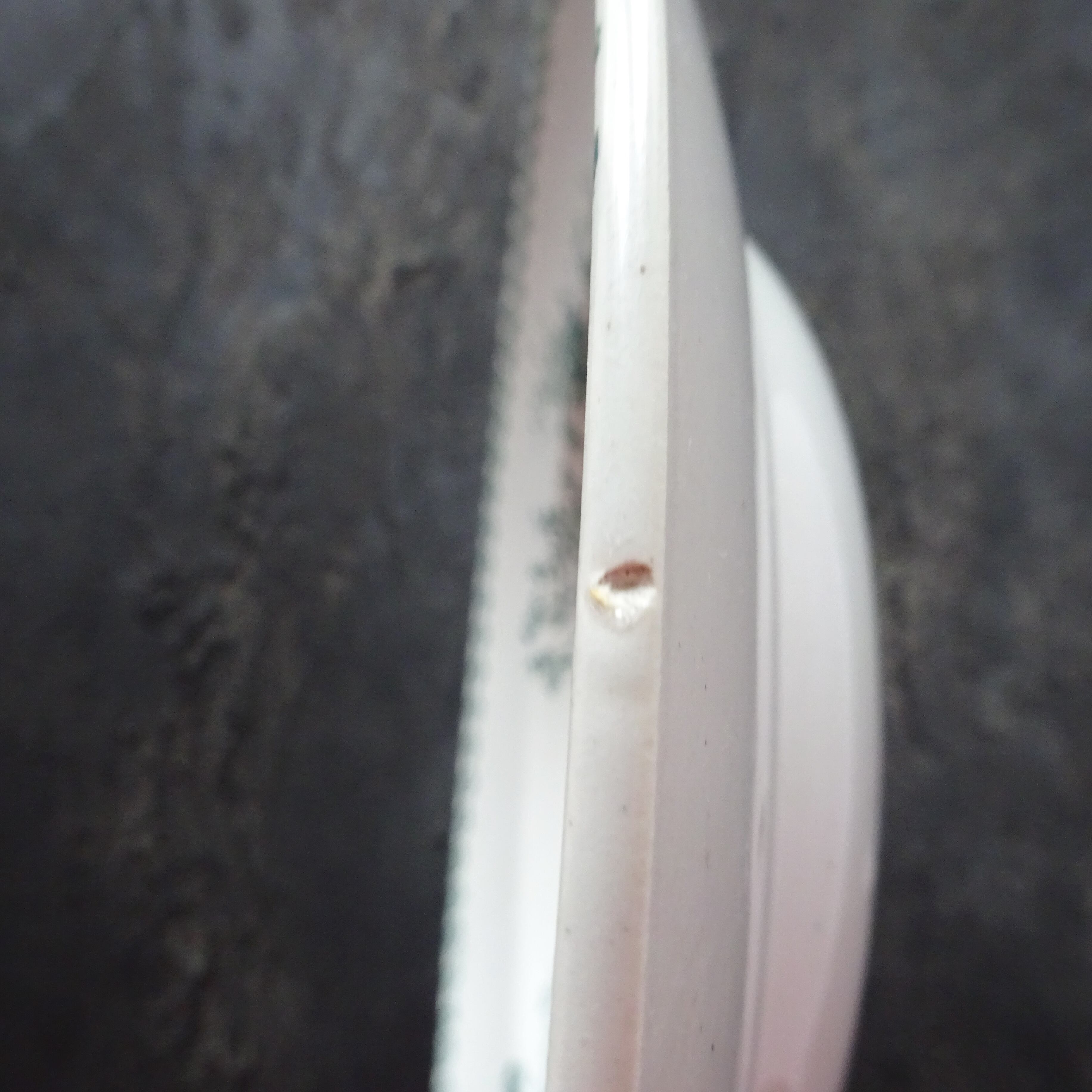 【 Épuisé 】Saint Amand modèle《TRIANON》assiette creuse (B)