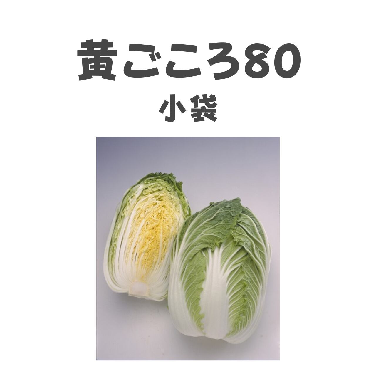 黄ごころ80 ハクサイ種子・DF小袋