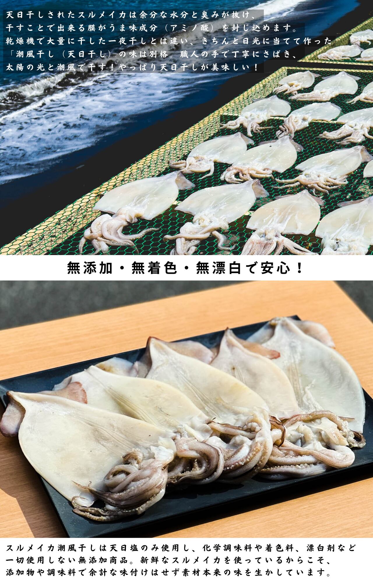 0680 北海道紋別産スルメイカ潮風干し 低塩 大型5枚入 約1kg前後 公式 羽田市場 漁師さん応援プロジェクト