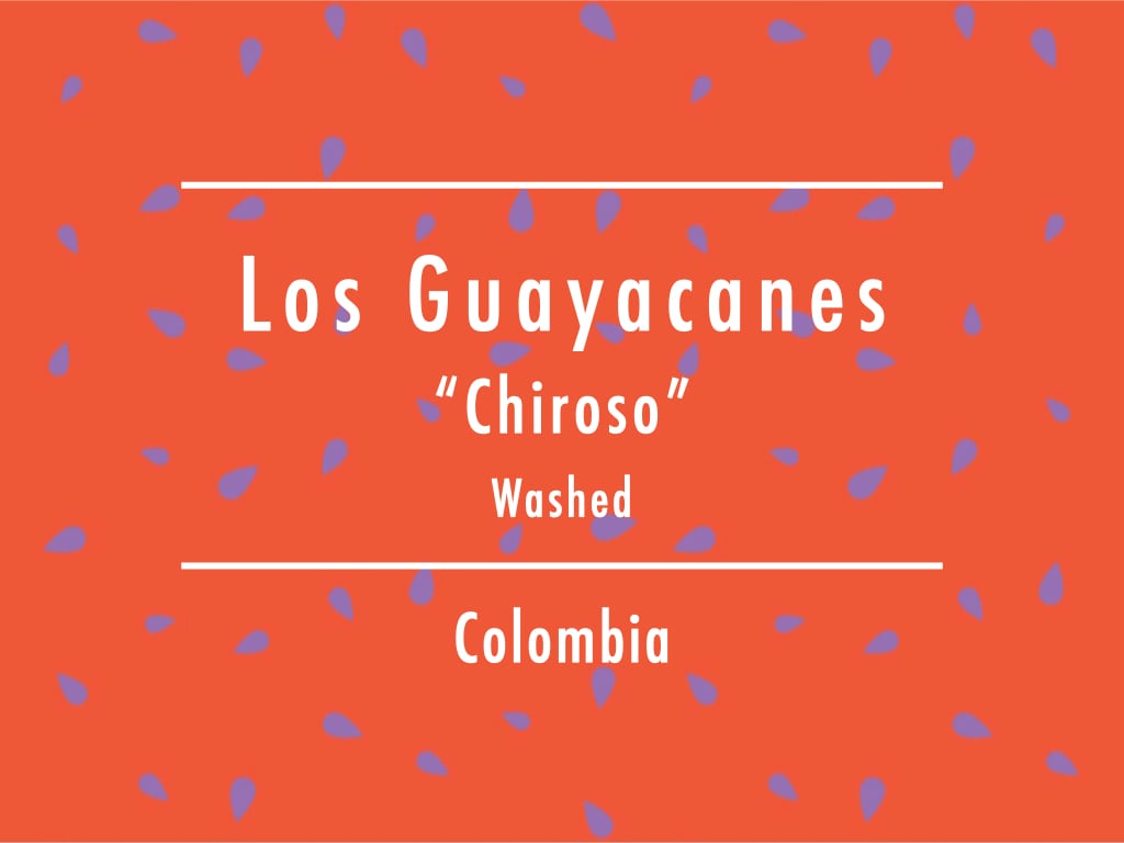 【100g】コロンビア / Los Guayacanes "Chiroso" Washed