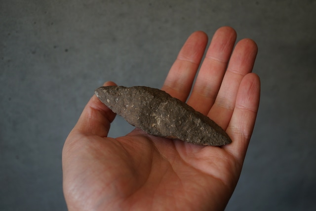 長野県産玄能石(イカイト仮晶、グレンドナイト) Ikaite / Glendonite 1670