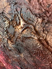 やがて朝になる/ And Soon, Morning Comes