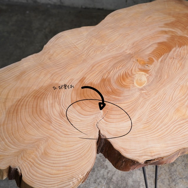 ラカンマキの輪切り一枚板 コーヒーテーブル （高さ・カラー変更無料）