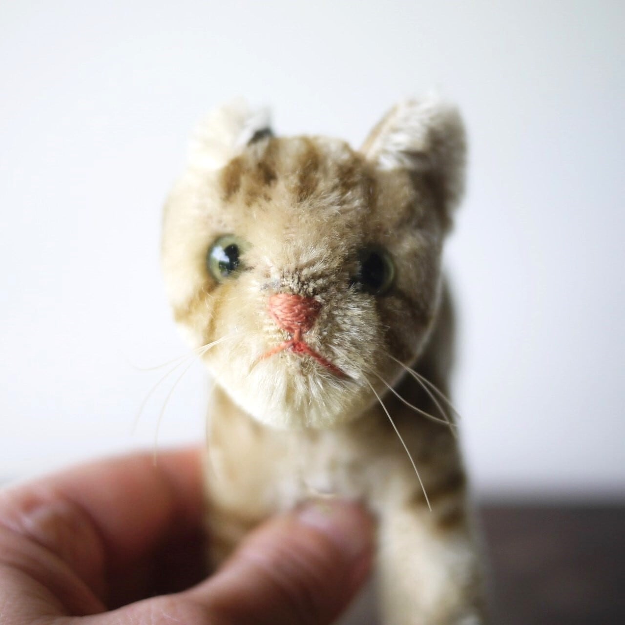 シュタイフ ねこ Tapsy ドイツ