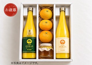 50箱限定 冬ギフト「伊予柑」3品+「蜂蜜」詰め合わせ