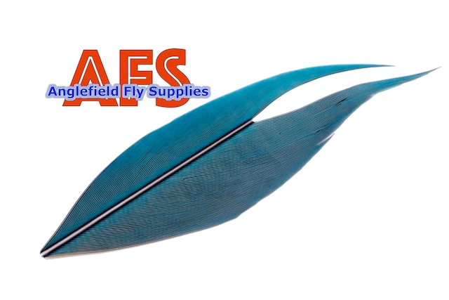 【 AFS 】Macaw Center Tail Blue-Yellow