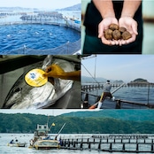 みやび鮪【赤身 1000g】