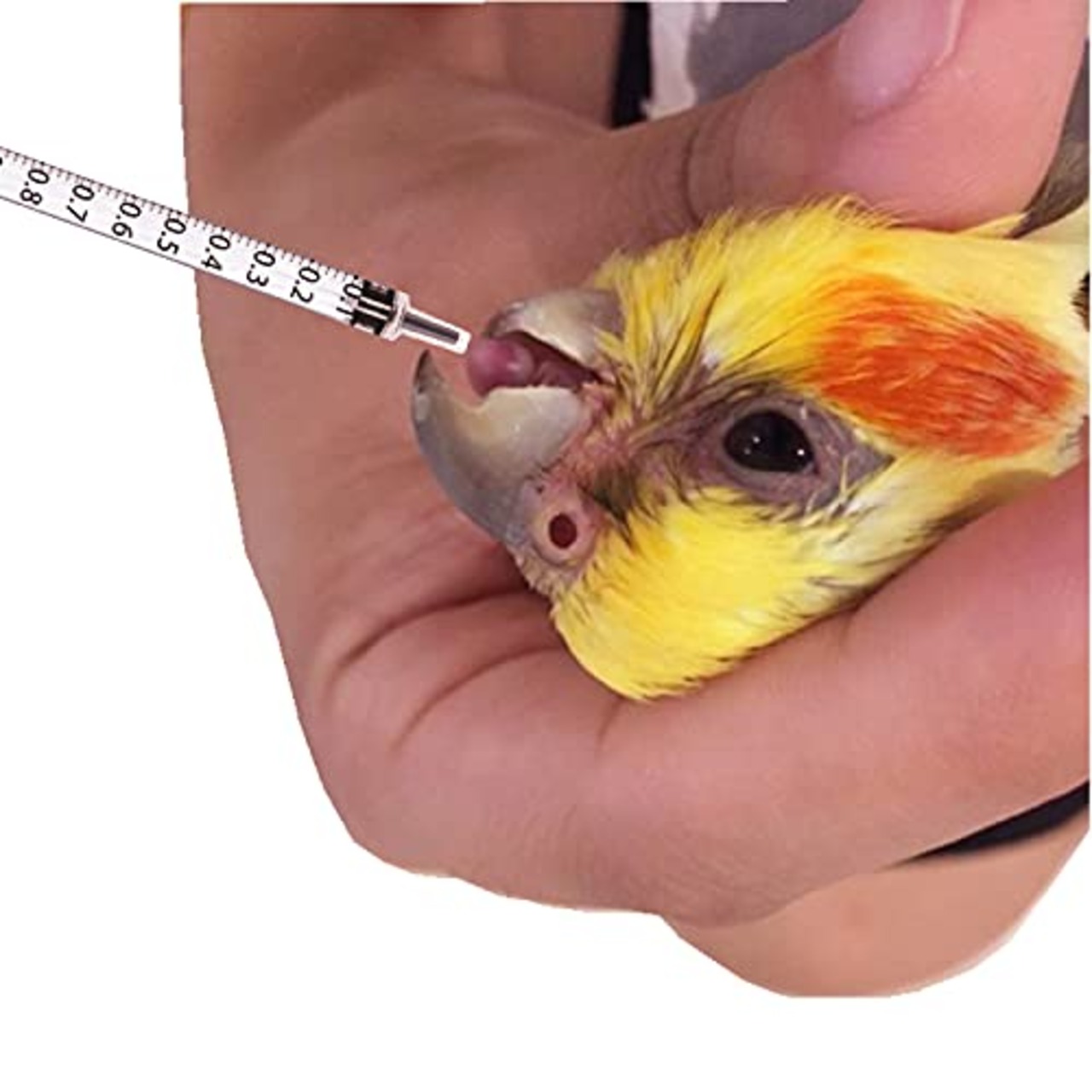 工業・ホビー用シリンジ ペットの給水や餌やり1ｍｌ 30本セット