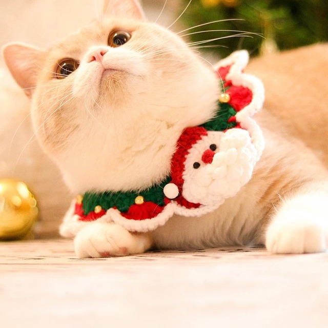 サンタクロースニットチョーカー クリスマス 猫
