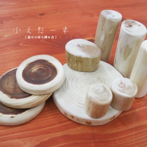 キャンプトイ：小えだーず（送料込み）