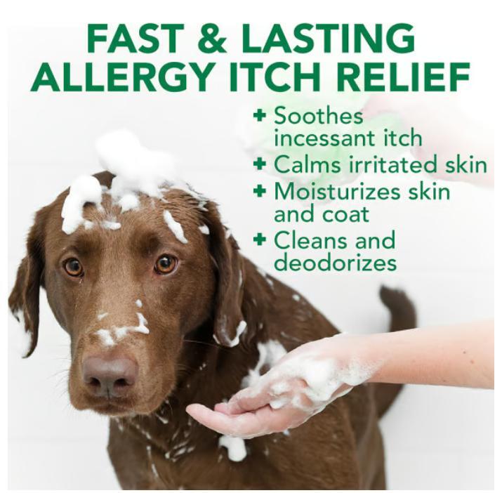 新発売！】犬・VET'S BEST アレルギー用シャンプー/ アレジーイーチリ