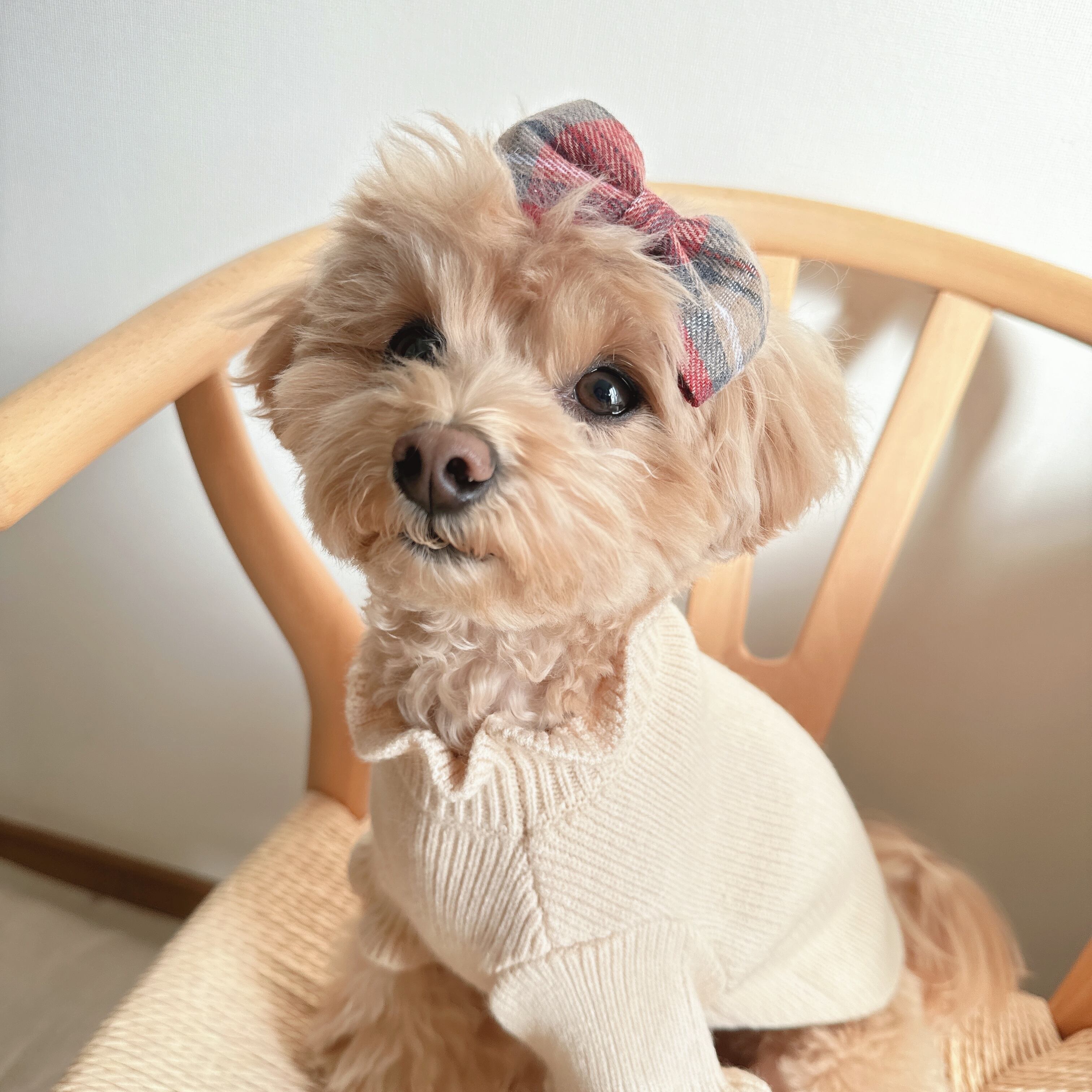 チェックリボンヘアバンド(後ろ支え付き) or パッチン