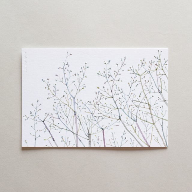 Post Card〈冬の日の枝〉