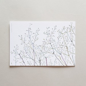 Post Card〈冬の日の枝〉