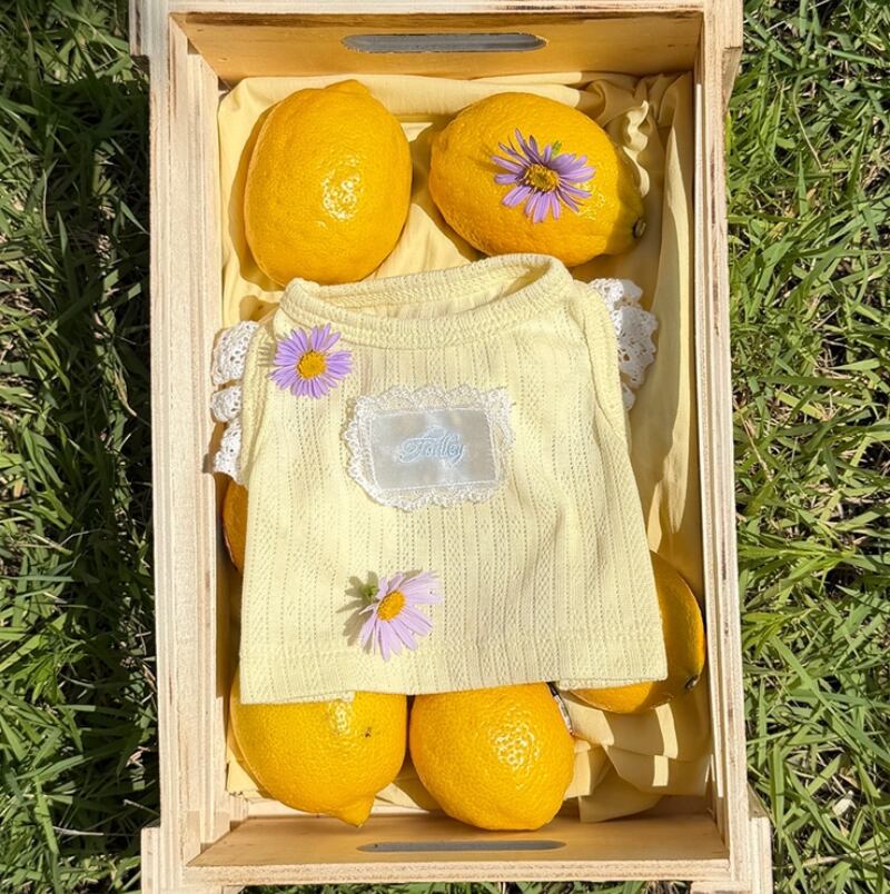 S/即納【todley】Summer Lemon Top