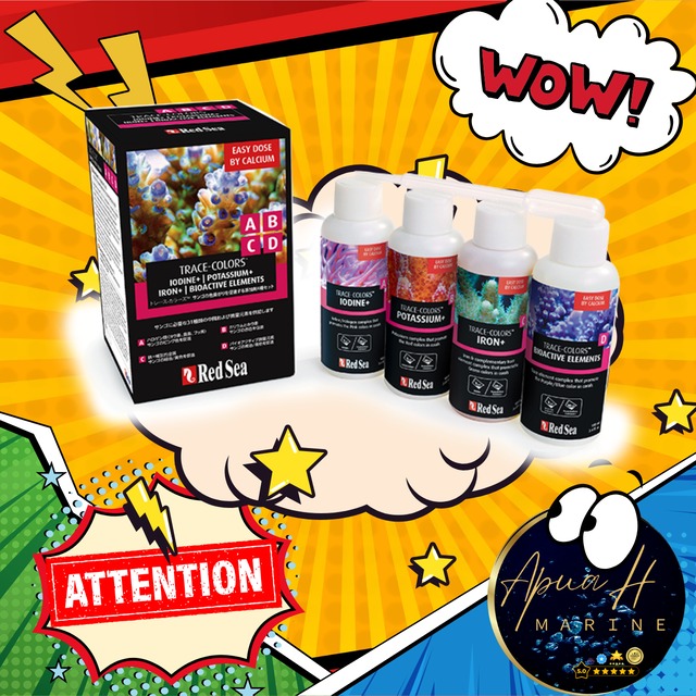 トレースカラーズABCDパック