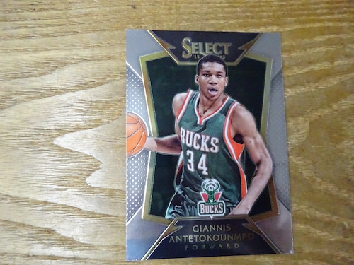 ヤニス・アデトクンボ 2014-15 PANINI SELECT