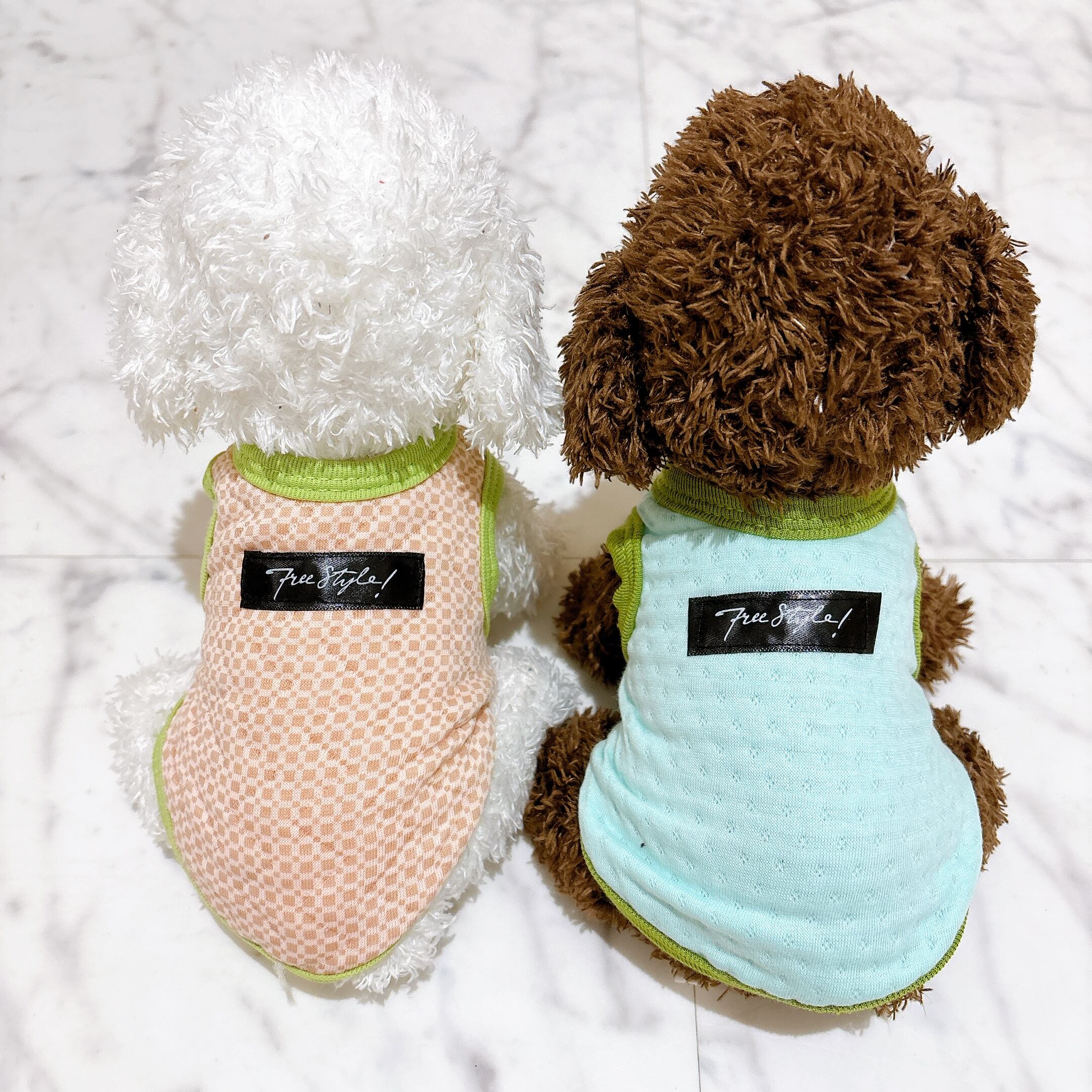 超小型犬・パピー犬 スモールサイズ | ronkichimaru(ロンキチマル