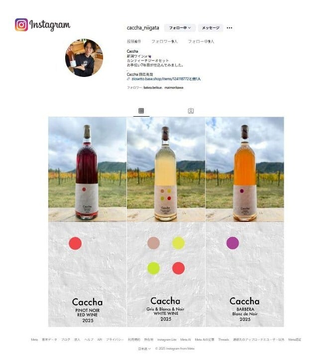 CACCHA /2025 ＝ 新酒 3種：1）白バルベーラ/ブランドノワール、2
