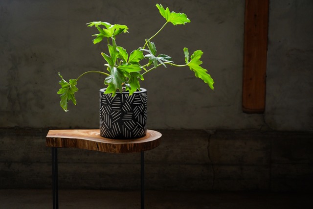 欅の輪切り サイドテーブル