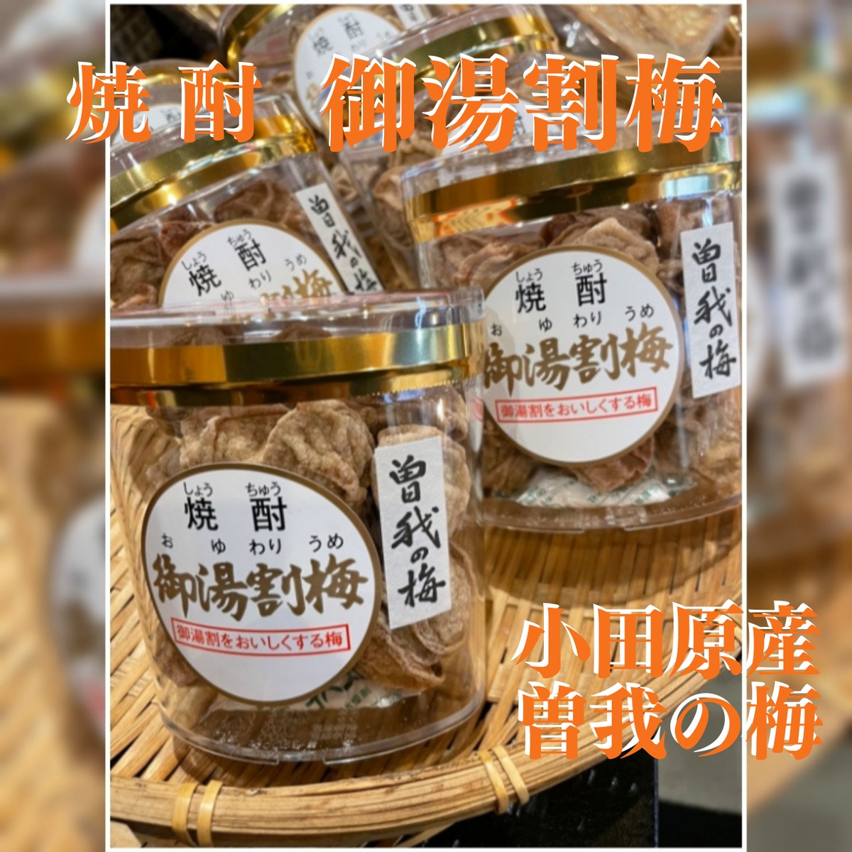 ♥️白加賀梅♥️小田原産　曽我の梅　5キロ　きれいめ黄色め 小田原産 曽我の梅】御湯割梅 | まるいし商店
