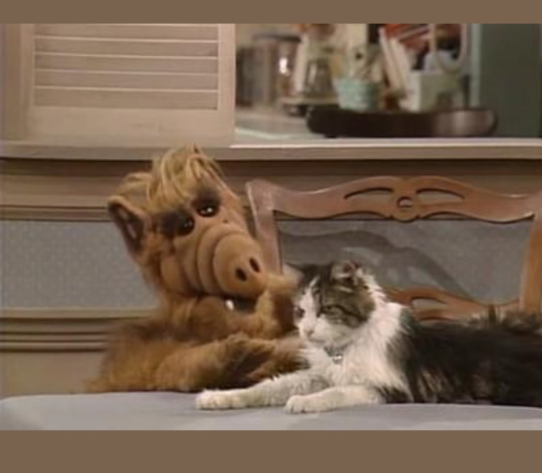 再入荷！他サイズもまもなく入荷！【 アルフ (ALF)】Tシャツ Jogging〚アメリカン雑貨 アメトイ〛