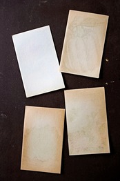 20s フランス 4set 膨満な花々と野菜たち 種子袋用ラベルk アンティーク