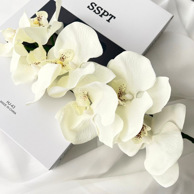 コチョウラン×ホワイト バルーンフラワーブーケ Lサイズ