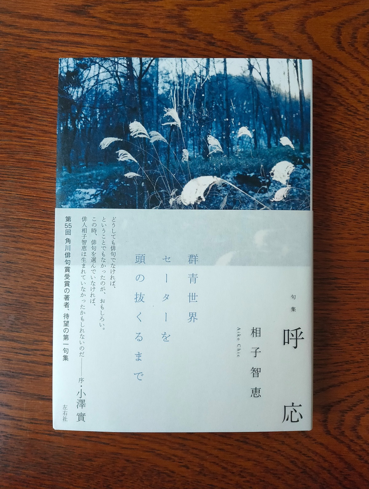 相子智恵『句集 呼応』 がたんごとん