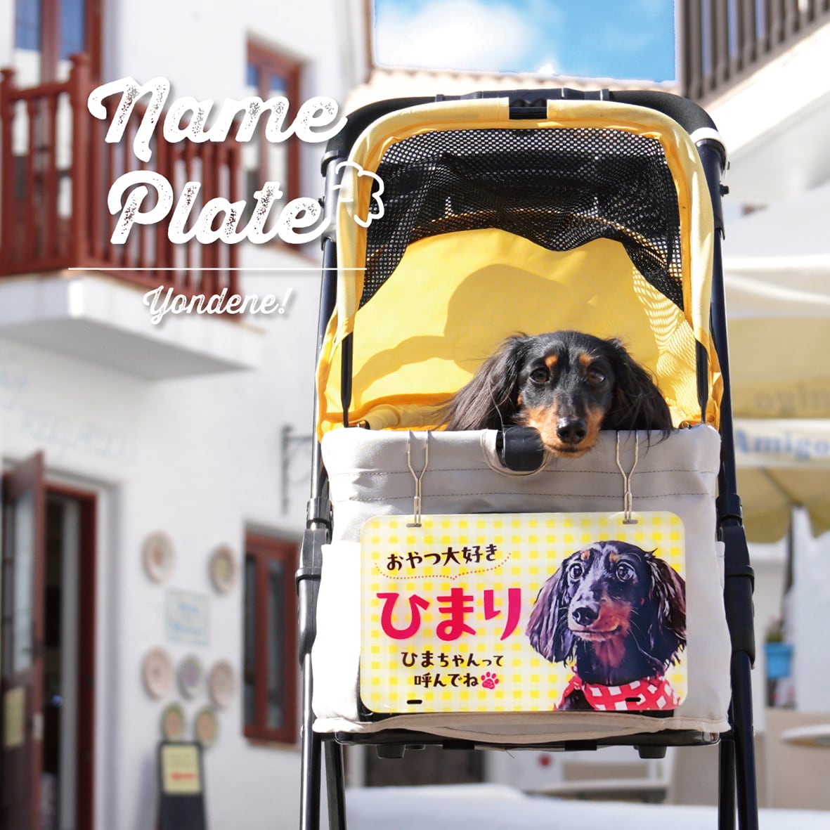 犬　わんちゃん　グラス　プレート 犬 わんちゃん グラス プレート｜犬 わんちゃん グラス プレート