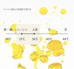 ジビエ・ハイブリッド・スキンケア４点セット