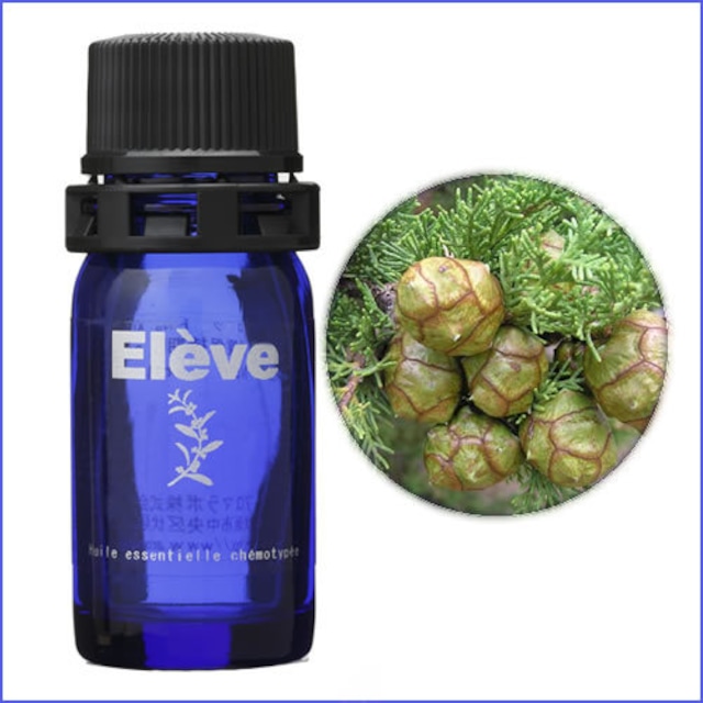 サイプレス  １０ml　/ Elève