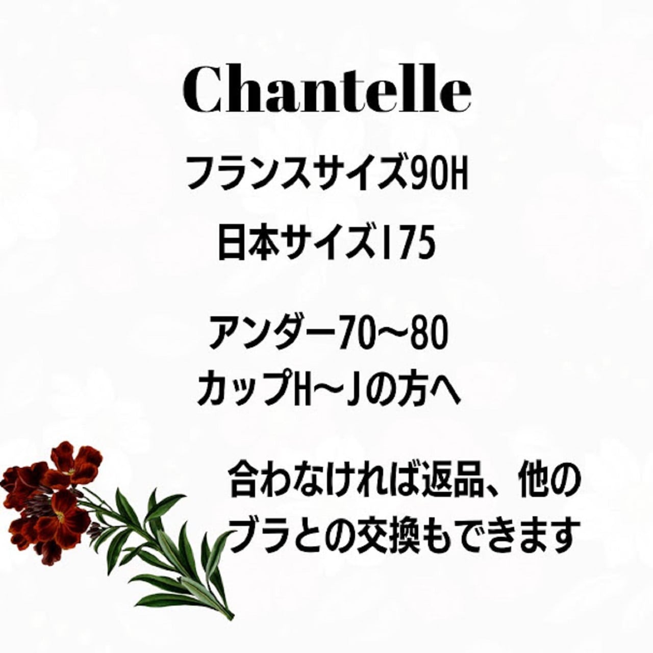 グラマーさん（大きなサイズ）のインポートワイヤーブラ95F,90H(日本サイズG80,I75)フランスの高級ブランドChantelle（C21S10X）カラーブラック（C011）Graphic Suppport