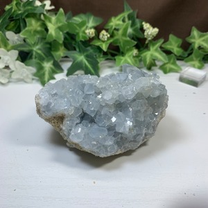 4.空色セレスタイトに住み着いているフローライトハリネズミさん