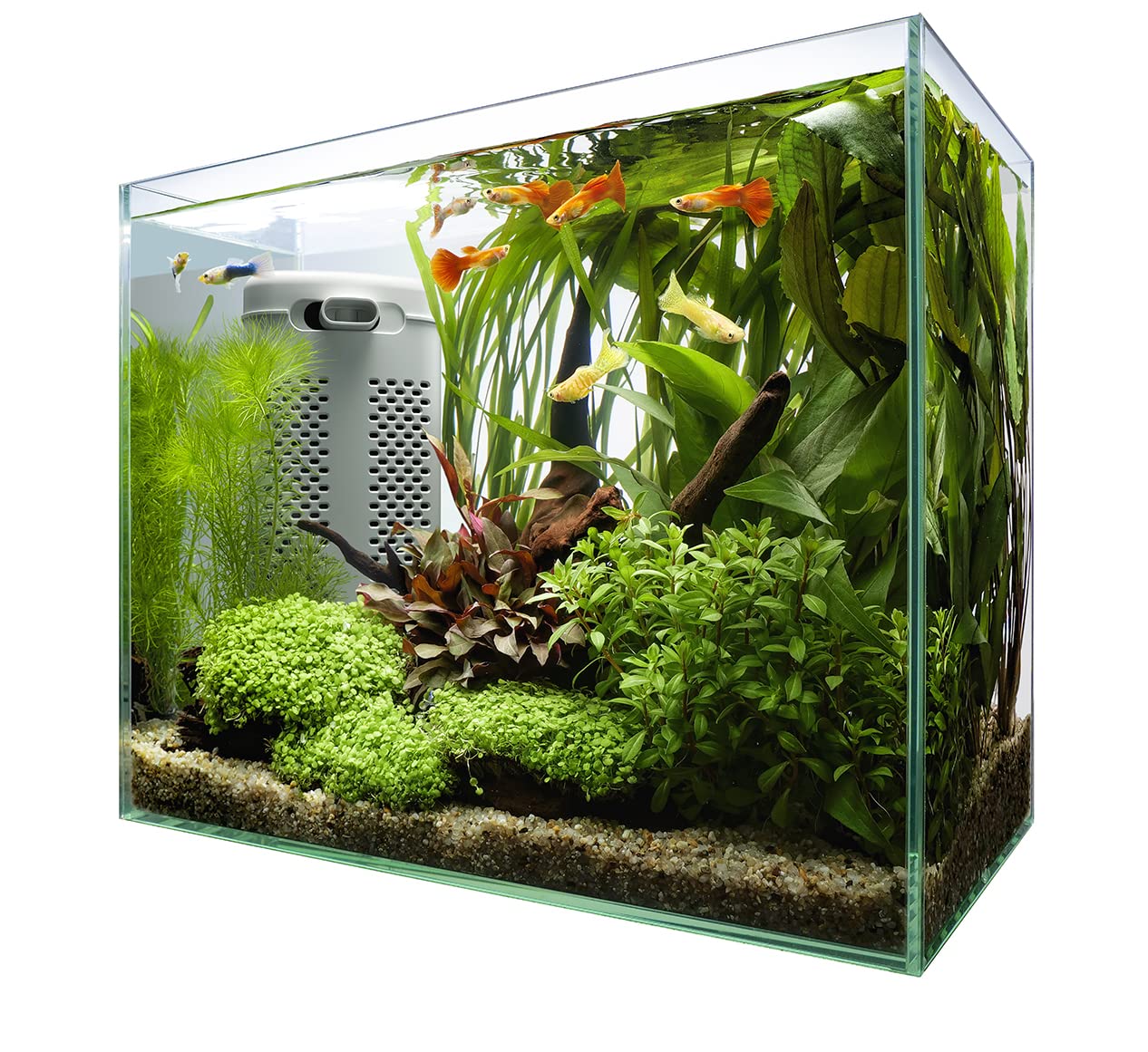 テトラ (Tetra) ガラス 水槽 オールグラスアクアリウム GA-420F 水槽