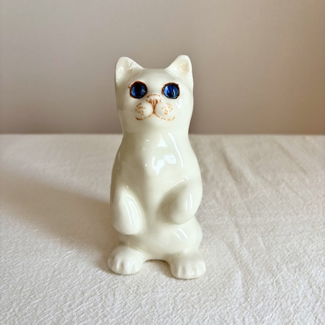 ケンジントンキャット専門店〚ウィンスタンレイキャットハウス〛