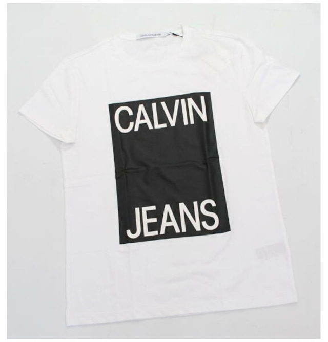 Calvin Klein Jeans カルバンクライン ジーンズ ボックスロゴ 半袖 Tシャツ ホワイト J312167